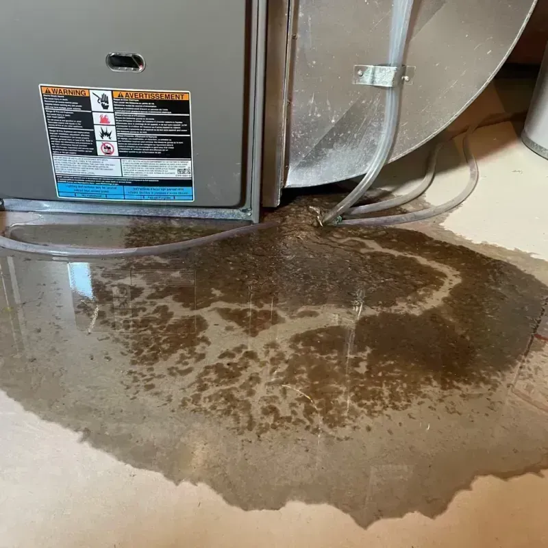 Appliance Leak Cleanup in Pittsfield, IL